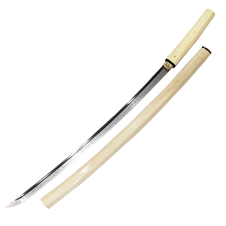 AKIRATAIKUSHI-shirasaya